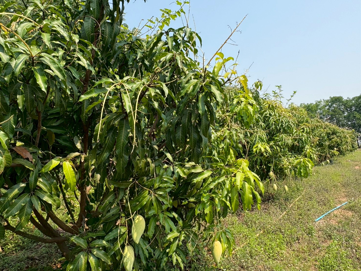 title - ศรม. ลงพื้นที่ตรวจประเมินเพื่อติดตามในเขตปฏิรูปที่ดินจังหวัดนครสวรรค์